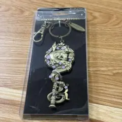 ディズニー ラプンツェル キーホルダー