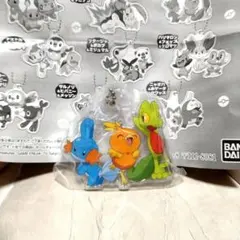 ポケモン アクリルキーホルダー ミズゴロウ アチャモ キモリ