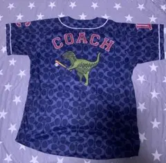 Coach lions