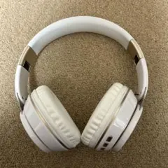 Item thumbnail for item 8114df6d-d0a8-4bac-aeab-76cc38fd2c40