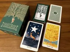 正規品! INTO THE WILD 野生動物のタロットカード&オラクルカード