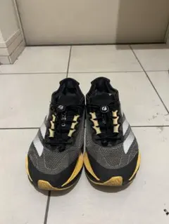 Item thumbnail for item 3fb61685-6182-450a-b41f-9f77c5901de9