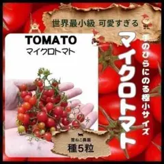 希少◇極小マイクロトマト1苗◇黄色 - メルカリ