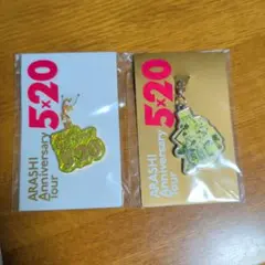 嵐 5×20 チャーム 緑セット