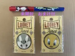 期間限定お値下げ♡レア♡LOONEY TUNES ヴィンテージピンバッジセット♡のサムネイル