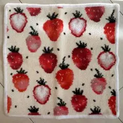 ⭐︎最終価格⭐︎FEILERいちご柄タオルハンカチケース&ポーチのセット新品未使用 2025年最新】フェイラーストロベリードットタオルハンカチの人気