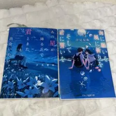 小説 汐見夏衛 2巻セット