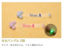 【バケーションパッケージ限定】光るバングル 2個セット