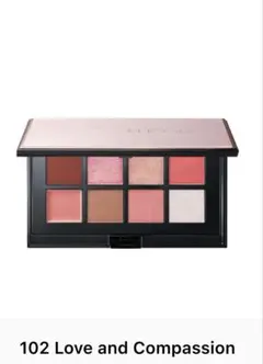 ADDICTION アディクション エターナル イン ピンク 102 限定色