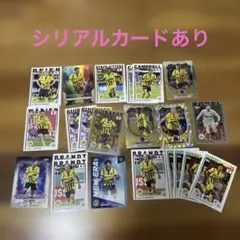 Borussia Dortmund シリアルカード 18/150