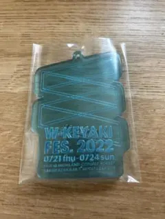日向坂46 ラバーキーホルダー W-KEYAKI FES.2022