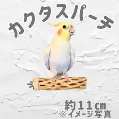 鳥用品 止まり木 カクタス スケルトン パーチ 小さめ No.227 - メルカリ
