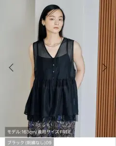 LEPSIMシアー刺繍アソートノースリブラウス　ブラック無地