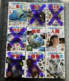 小学館の図鑑 NEO: 一冊です