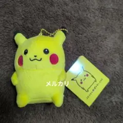 2026年最新】24じかんポケモンCHUの人気アイテム - メルカリ