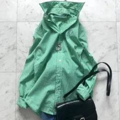 美品 ラルフローレンスポーツ 長袖シャツ ホース刺繍 緑 ストライプ コットン