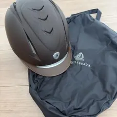 Item thumbnail for item d7228c56-8ada-4fcd-97a6-c16ce62caec0