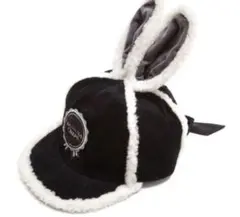 Item thumbnail for item 331e38ec-f585-4fad-9968-bff1cf376b89