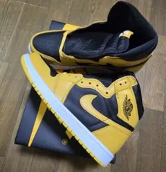 新品未使用　Nike Air Jordan 1 High OG "Pollen"のサムネイル