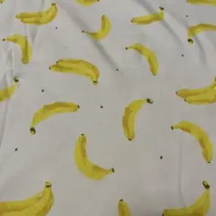 ニット生地AFのサムネイル