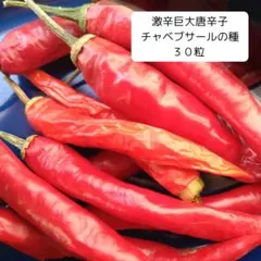 マーツ様 リクエスト 2点 まとめ商品