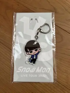 すのチル　アクリルキーホルダー　渡辺翔太