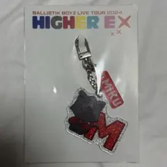 2025年最新】深堀未来アクスタの人気アイテム - メルカリ