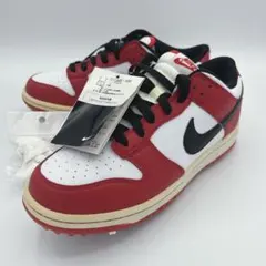 2025年最新】ナイキ ダンク ゴルフシューズの人気アイテム