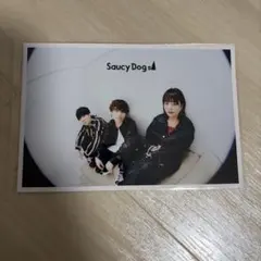 Saucy Dog ポストカード