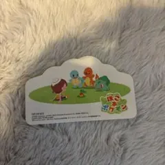 ポケモン イラスト付き 紙製アイテム