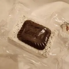 Lotus　ロータスクリームケーキ　スクイーズ　海外　クッキー　お菓子