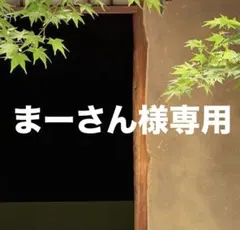 まーさん様 リクエスト 2点 まとめ商品
