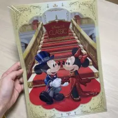 ディズニー A4クリアファイル　2枚セット ミッキーミニー&アナ雪