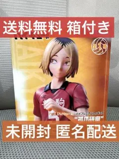 『ハイキュー!!』 フィギュア 孤爪研磨（こづめけんま） アニメ