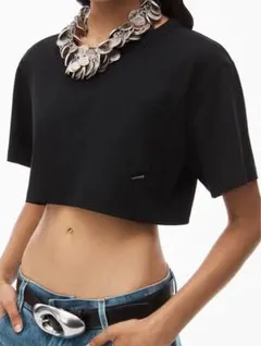 Item thumbnail for item 51bf7f54-3084-48d9-95d4-ded9b3bf4483