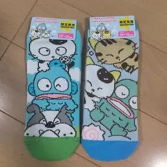 TAMA and FRIENDS ハンギョドン 2足セット