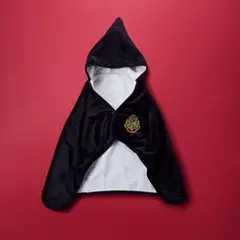 タリーズコーヒー ハリーポッター ローブ風ブランケット 2023