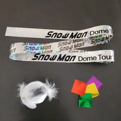 Snow Man Dome Tour ON 落下物 銀テープ白い羽根カラーテープ