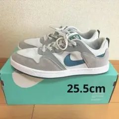 Nike SB アリウープ　グレー/ホワイト/ティール