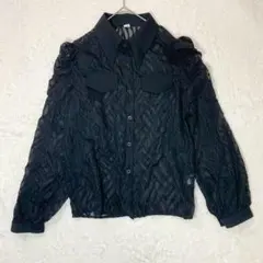 シアーシャツ/パワショル ジャガード 透け感 刺繍 ブラック モード系 重ね着