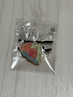 ディズニー　40周年記念ピンバッジ