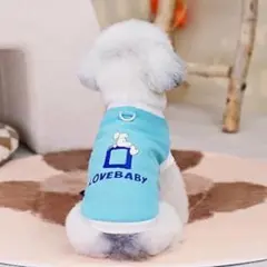 Item thumbnail for item ec447cfc-32a7-450e-9a07-e15cc53a309d