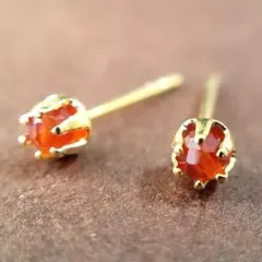 316Lステンレスピアス◆カーネリアン