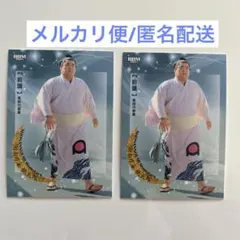 Item thumbnail for item 42dc003b-456e-406c-8770-9c408463efb3