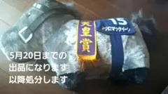 しまりす。様専用サラブレッドコレクション　メジロマックイーン ぬいぐるみ