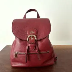 2026年最新】コーチバーガンディの人気アイテム - メルカリ