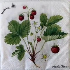 Item thumbnail for item 6d931d1c-e61e-41d2-a537-abbda8a3ce76