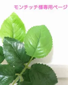 ＊モンチッチ様専用ページ＊