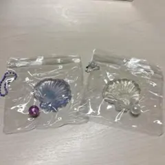スクイーズ 貝殻 ガチャガチャ