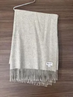 Item thumbnail for item 246f24f2-c3f4-49c8-a8e1-4fe3e32b3768